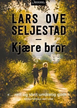 Kjære bror : roman