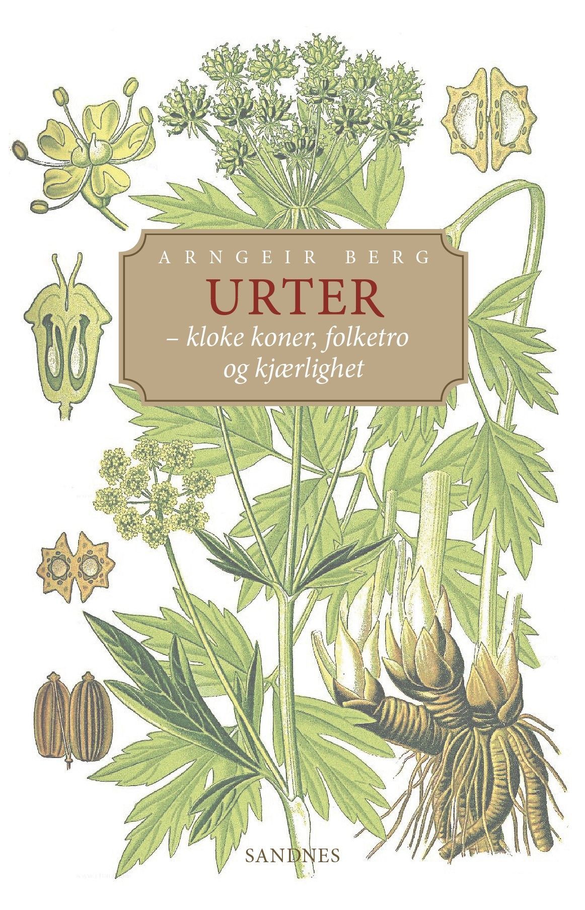 Urter : - kloke koner, folketro og kjærlighet
