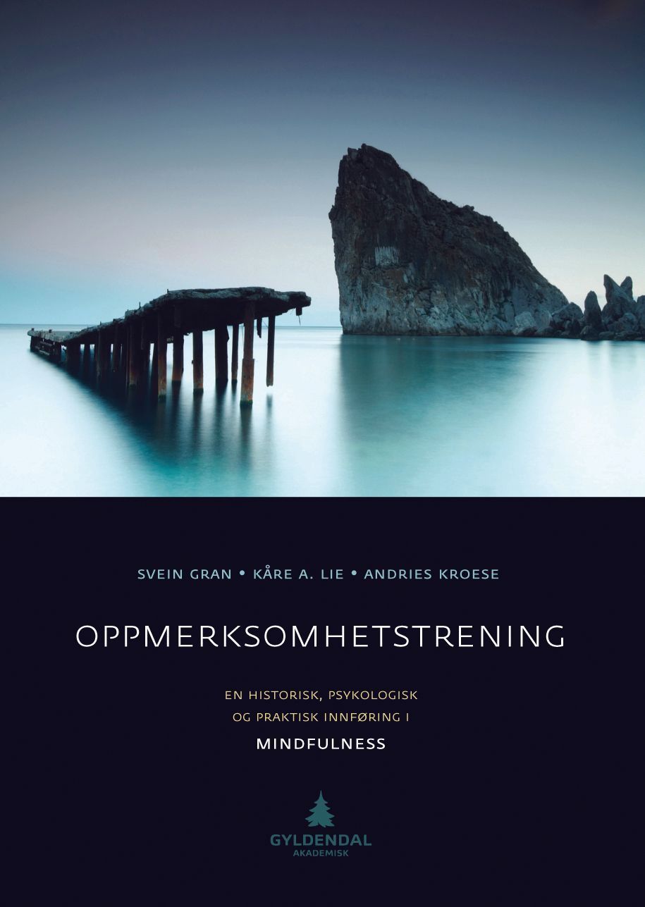 Oppmerksomhetstrening : en historisk, psykologisk og praktisk innføring i mindfulness