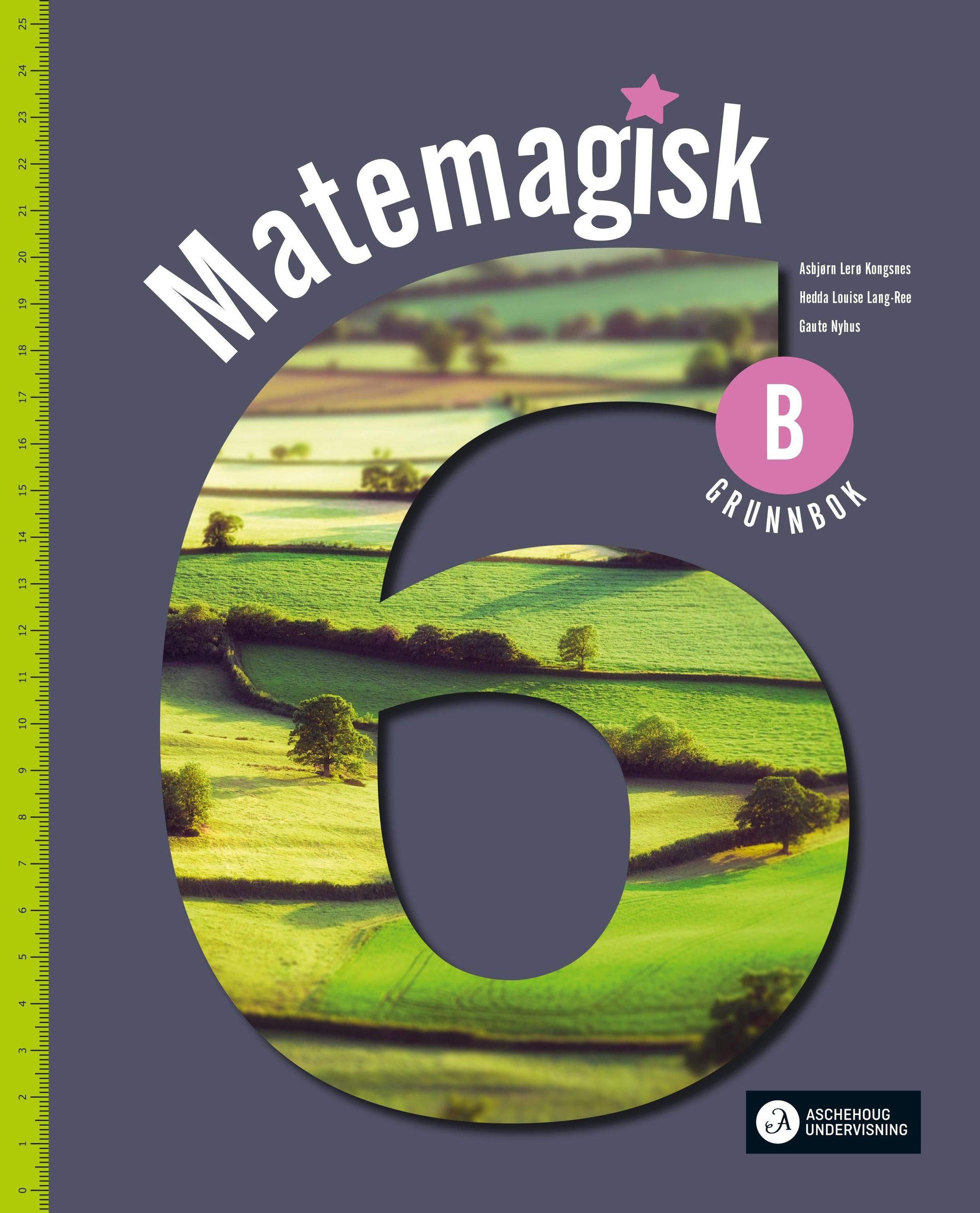 Matemagisk 6B : matematikk for barnetrinnet. Grunnbok