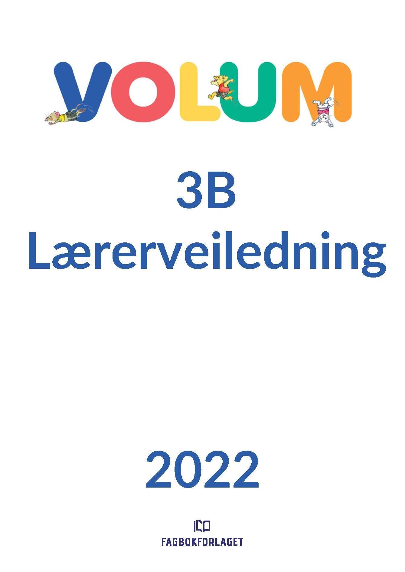 Volum 3B : matematikk for barnetrinnet. Lærerveiledning