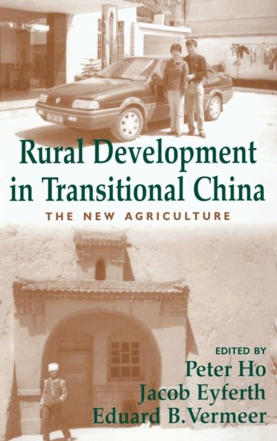 Rural Development in Transitional China : The New Agriculture