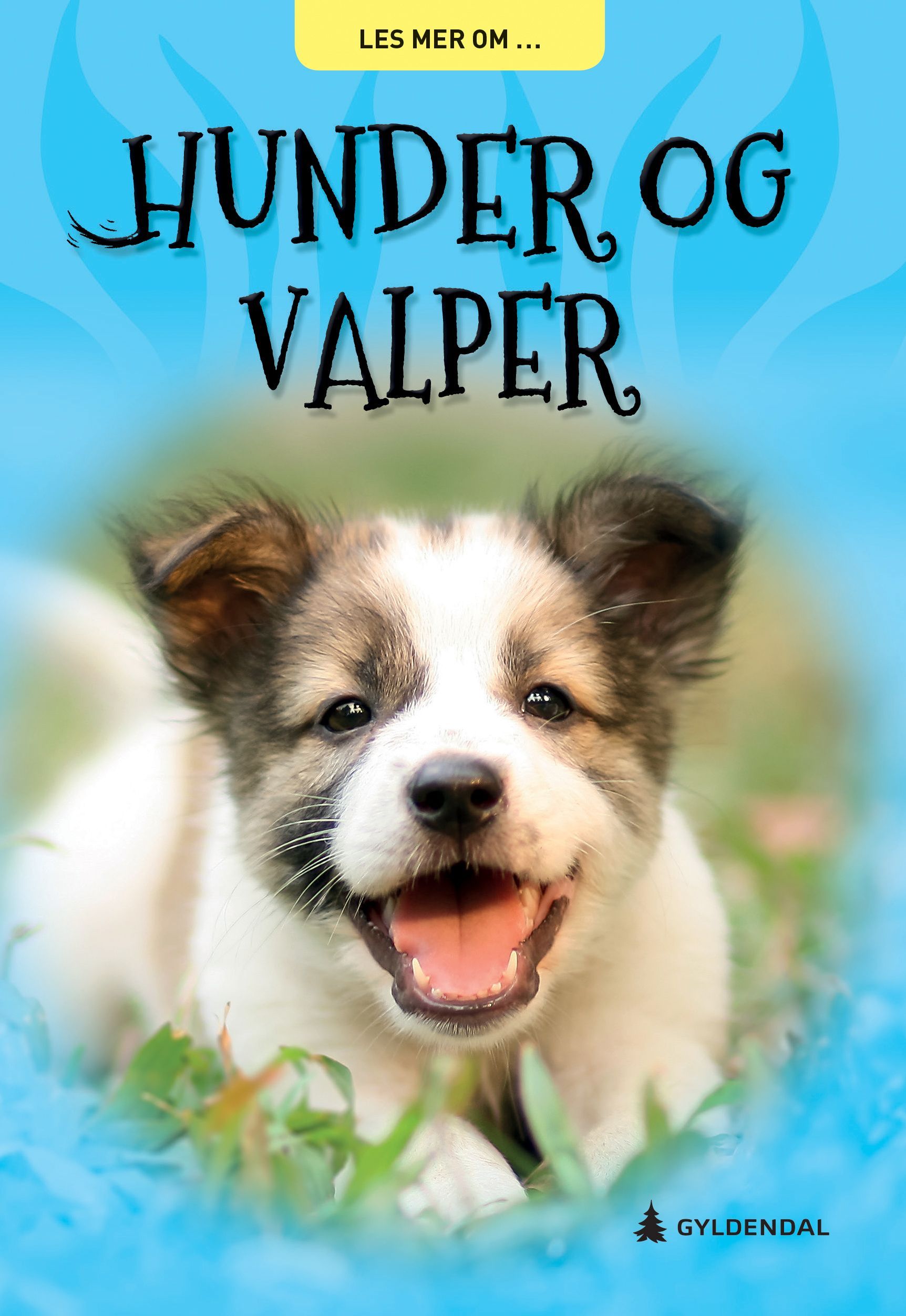 Hunder og valper