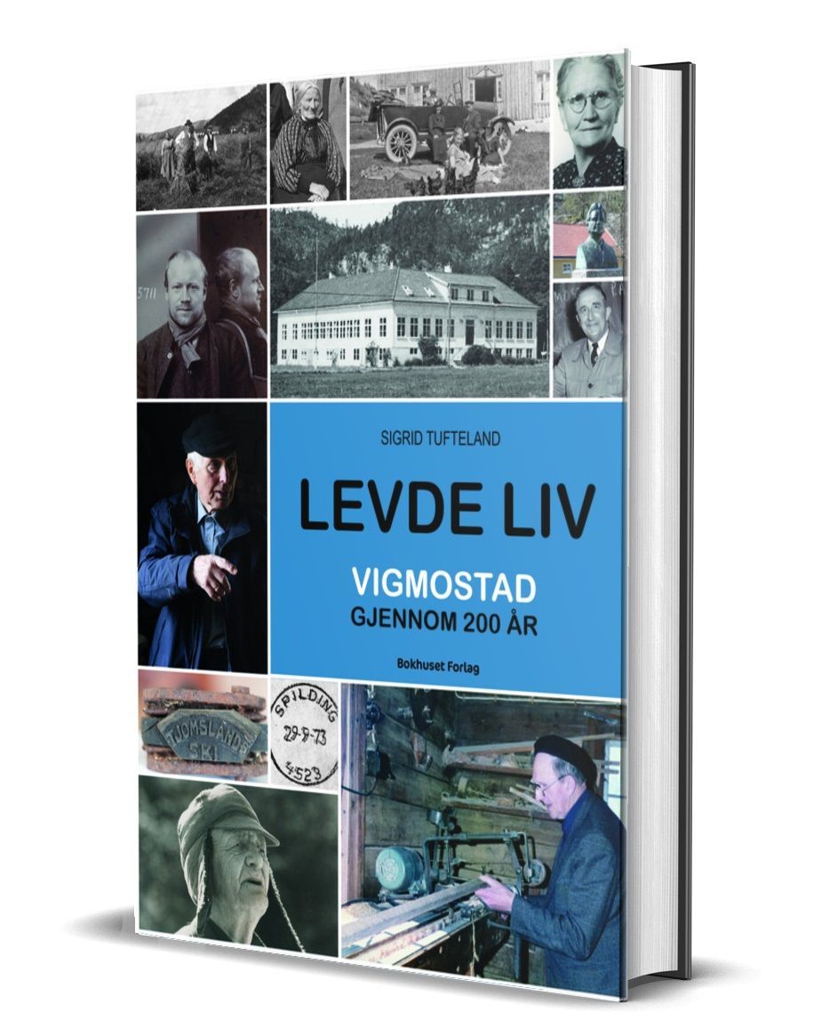 Levde liv : Vigmostadfolk gjennom 200 år