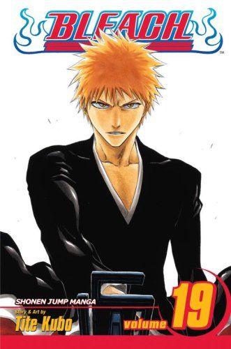 Bleach. vol. 19. The black moon rising