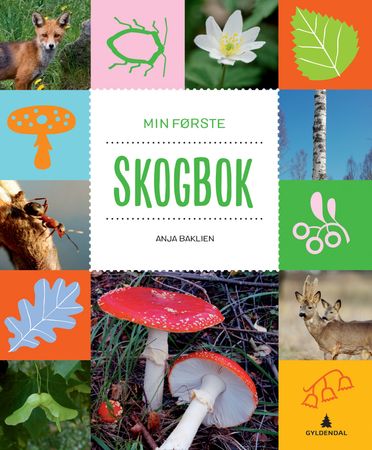Min første