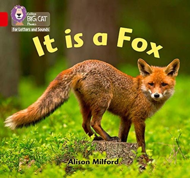 It is a Fox : Band 02b/Red B