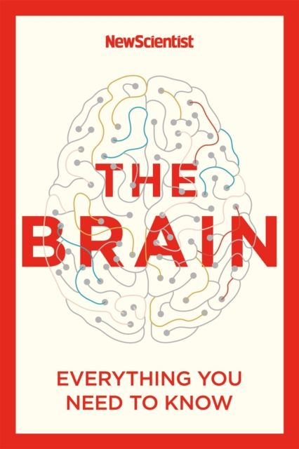 The Brain : Everything You Need to Know