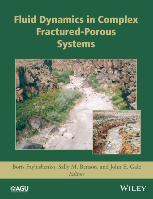 Forsidebilde av Fluid Dynamics in Complex Fractured-Porous Systems