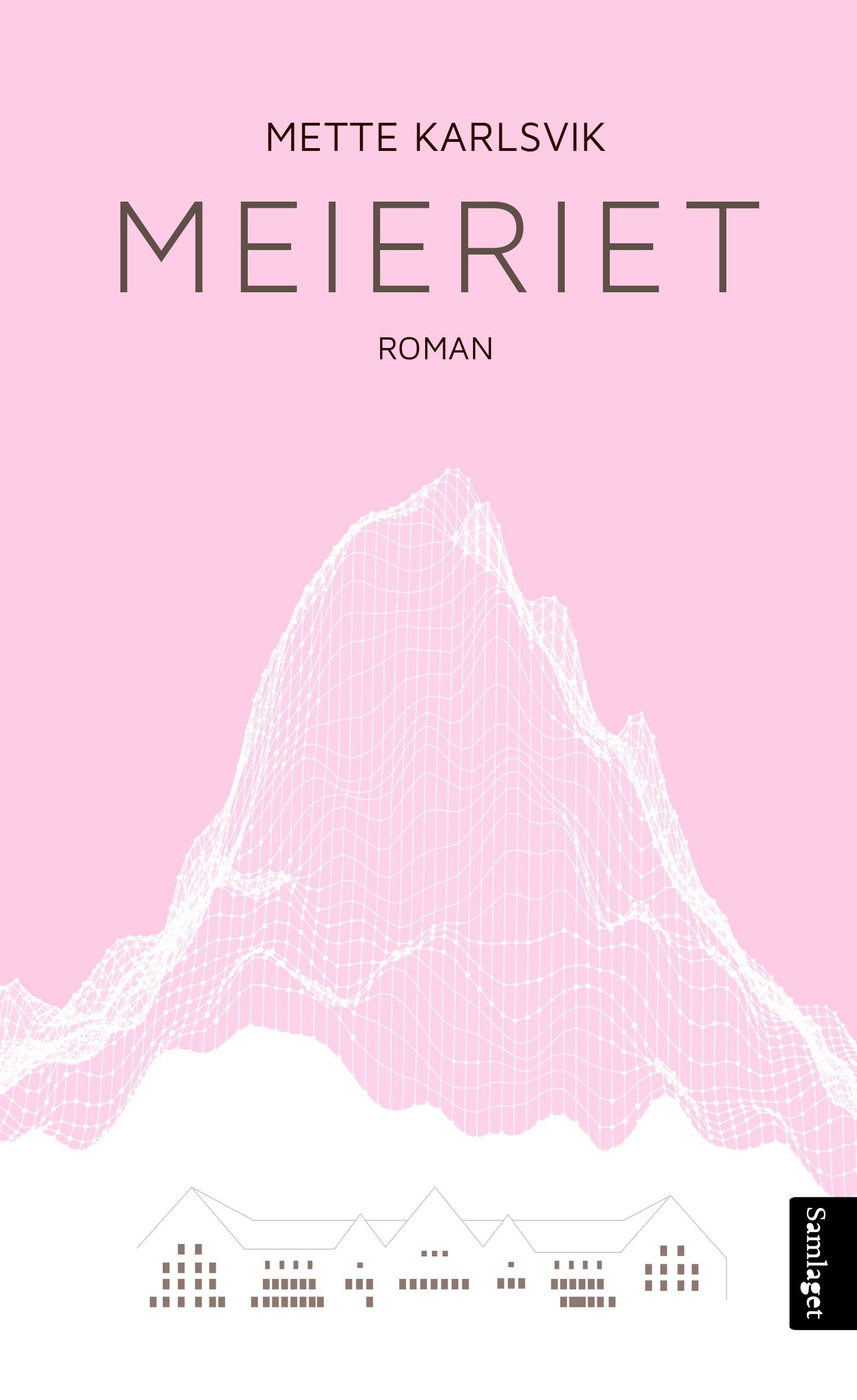 Meieriet : roman