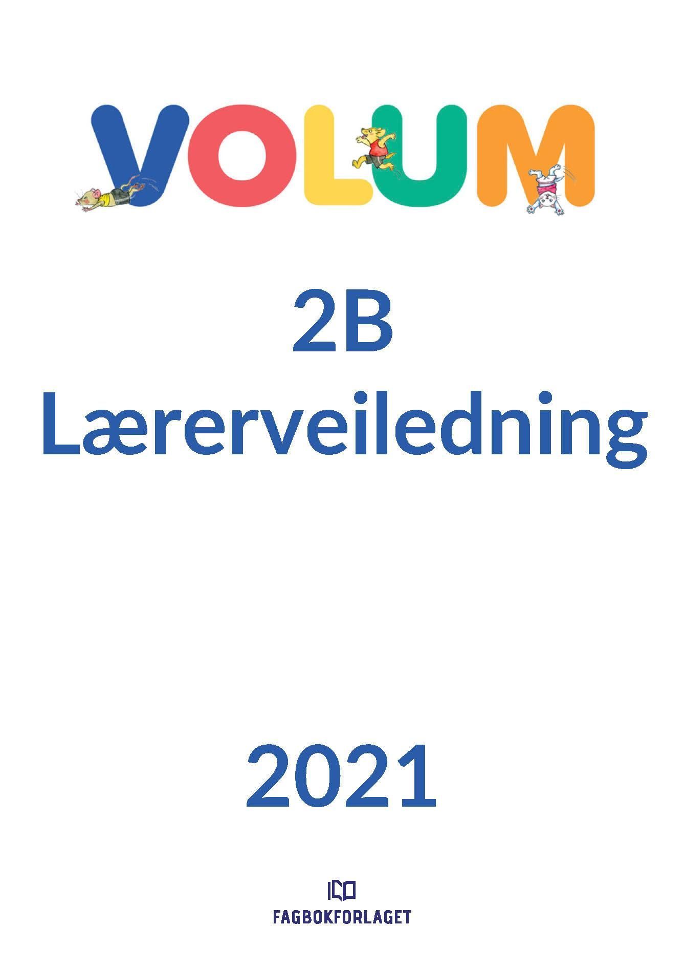 Volum 2B : matematikk for barnetrinnet. Lærerveiledning