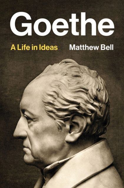 Goethe : A Life in Ideas