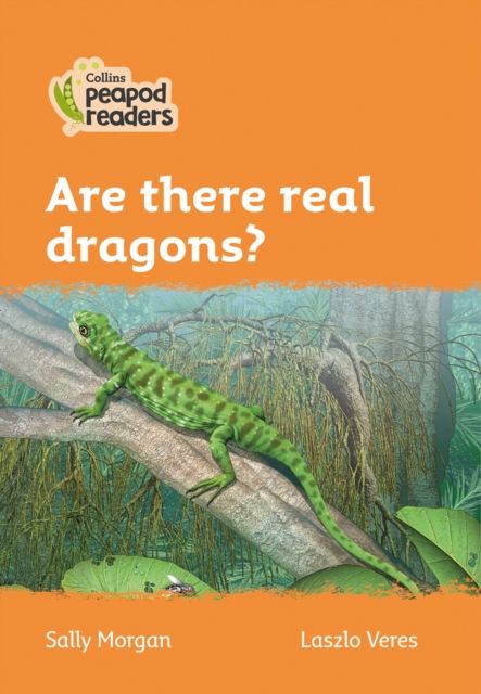 Are there real dragons? : Level 4