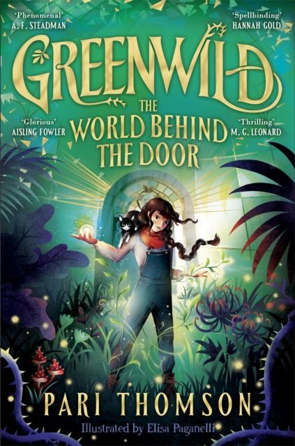 The world behind the door