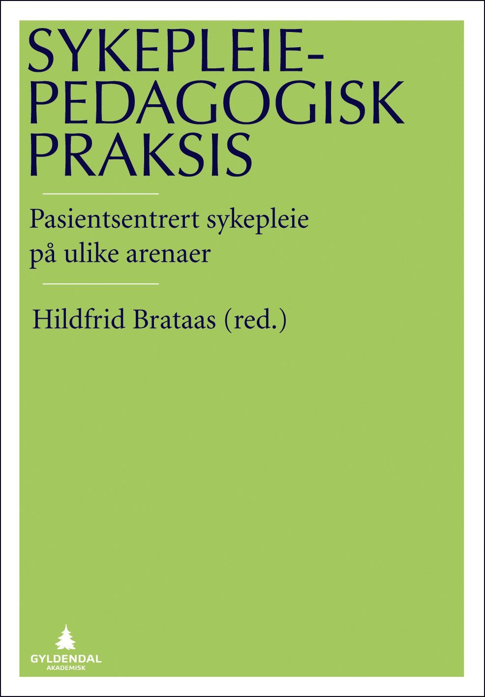 Sykepleiepedagogisk praksis : pasientsentrert sykepleie på ulike arenaer