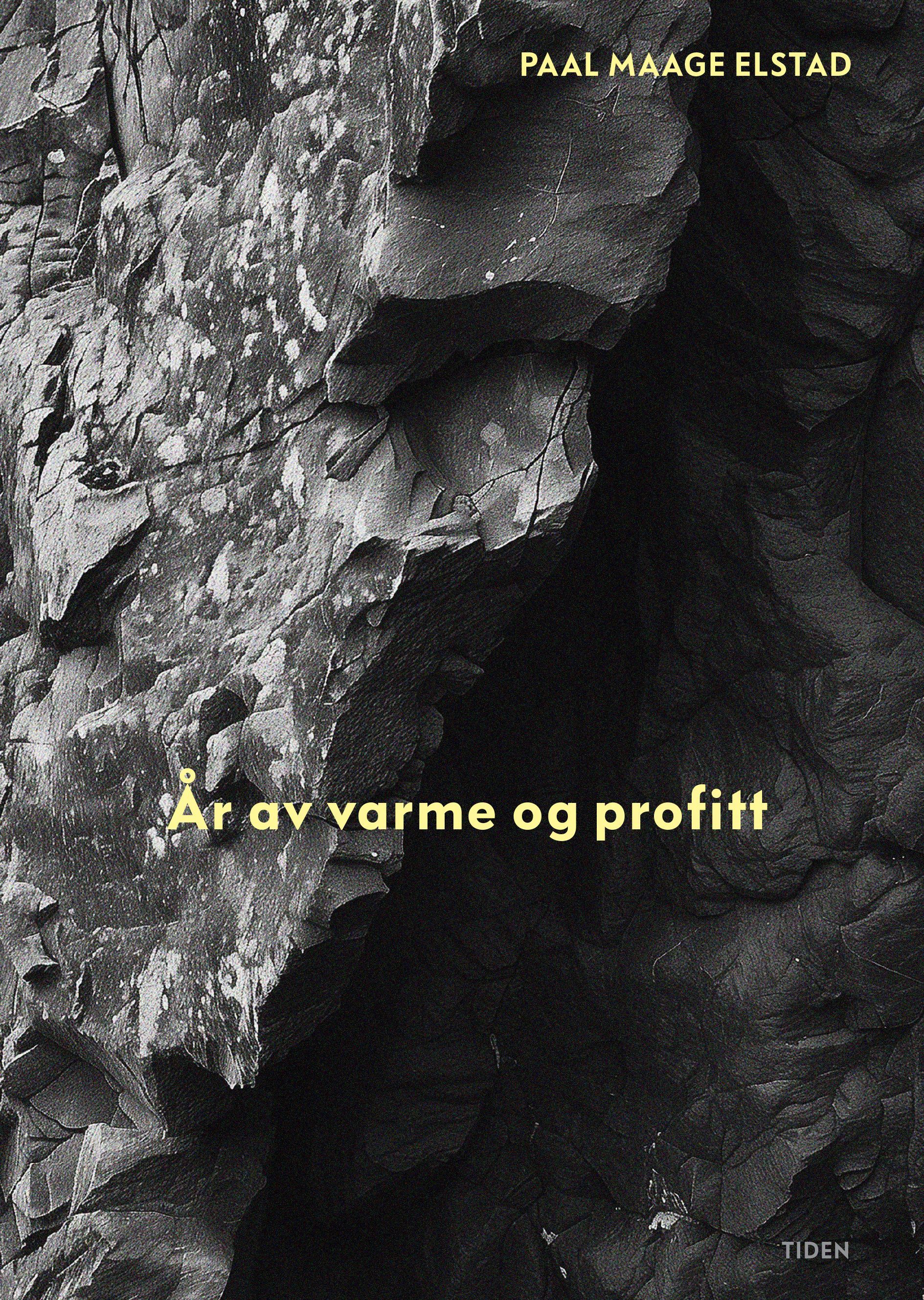 Forsidebilde av År av varme og profitt