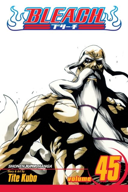 Bleach. vol. 45. The burnout inferno