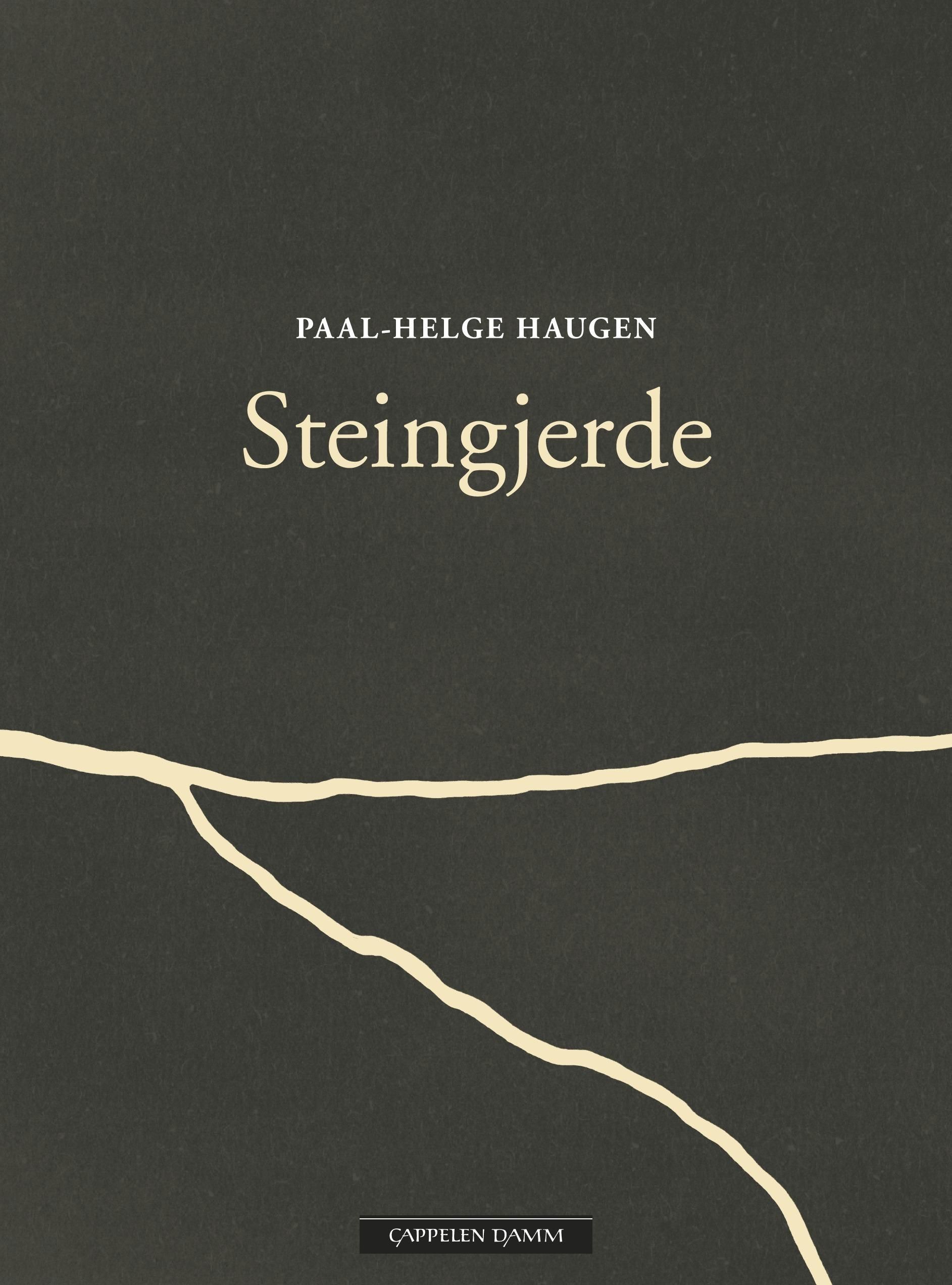 Steingjerde : ein diktroman
