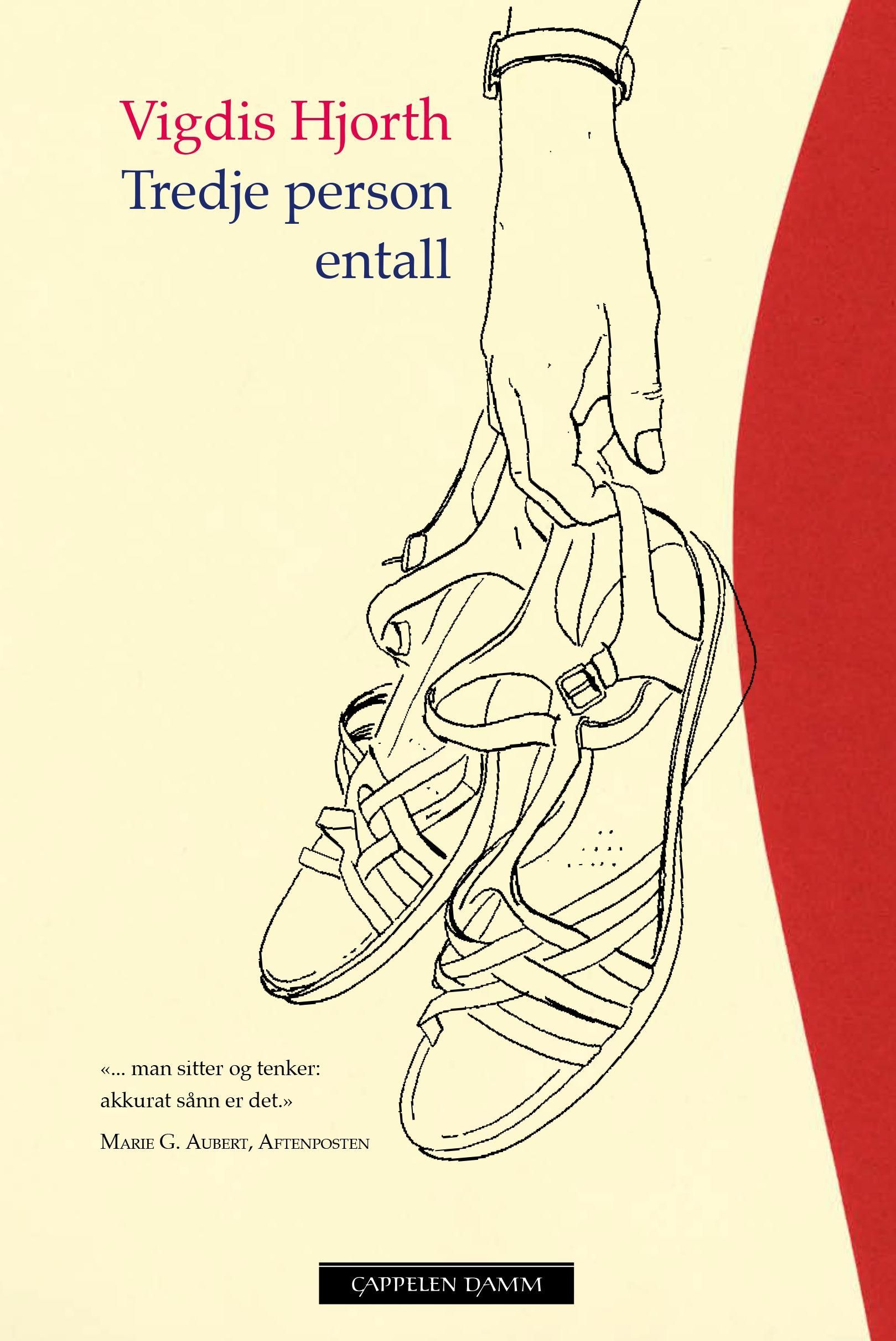 Tredje person entall : roman