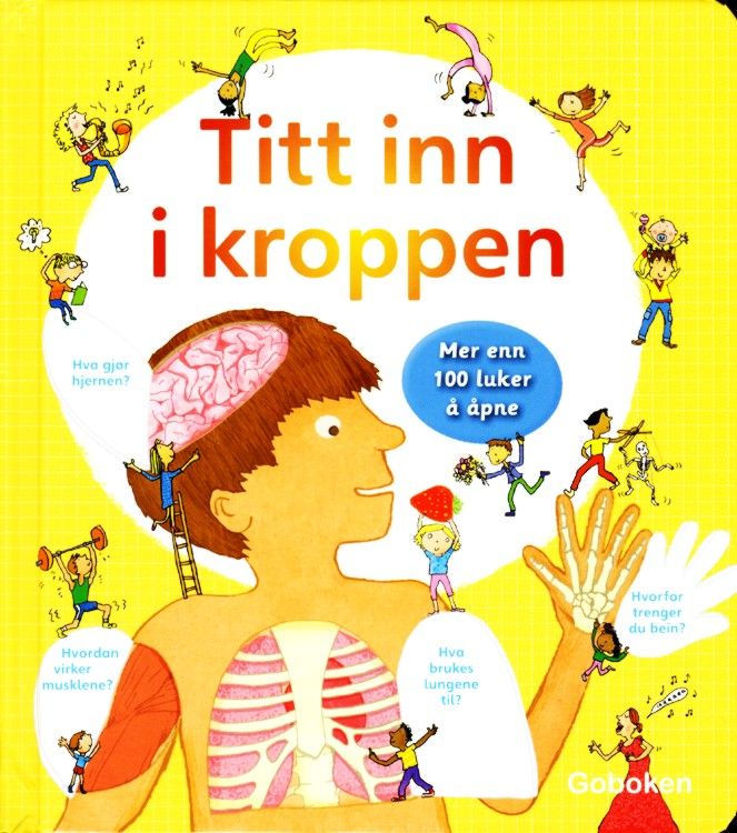Titt inn i kroppen