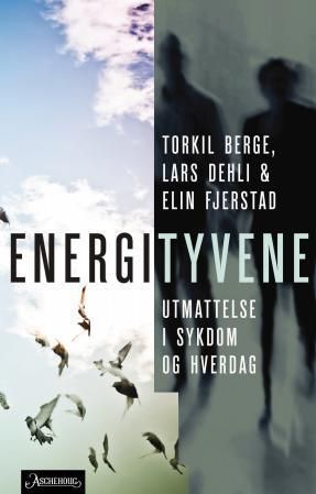 Energityvene : utmattelse i sykdom og hverdag