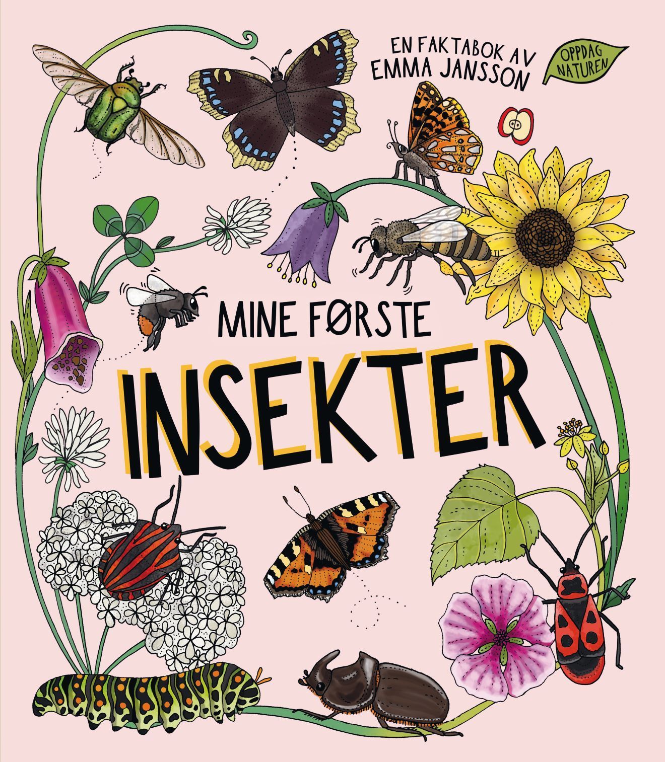 Mine første insekter : en faktabok