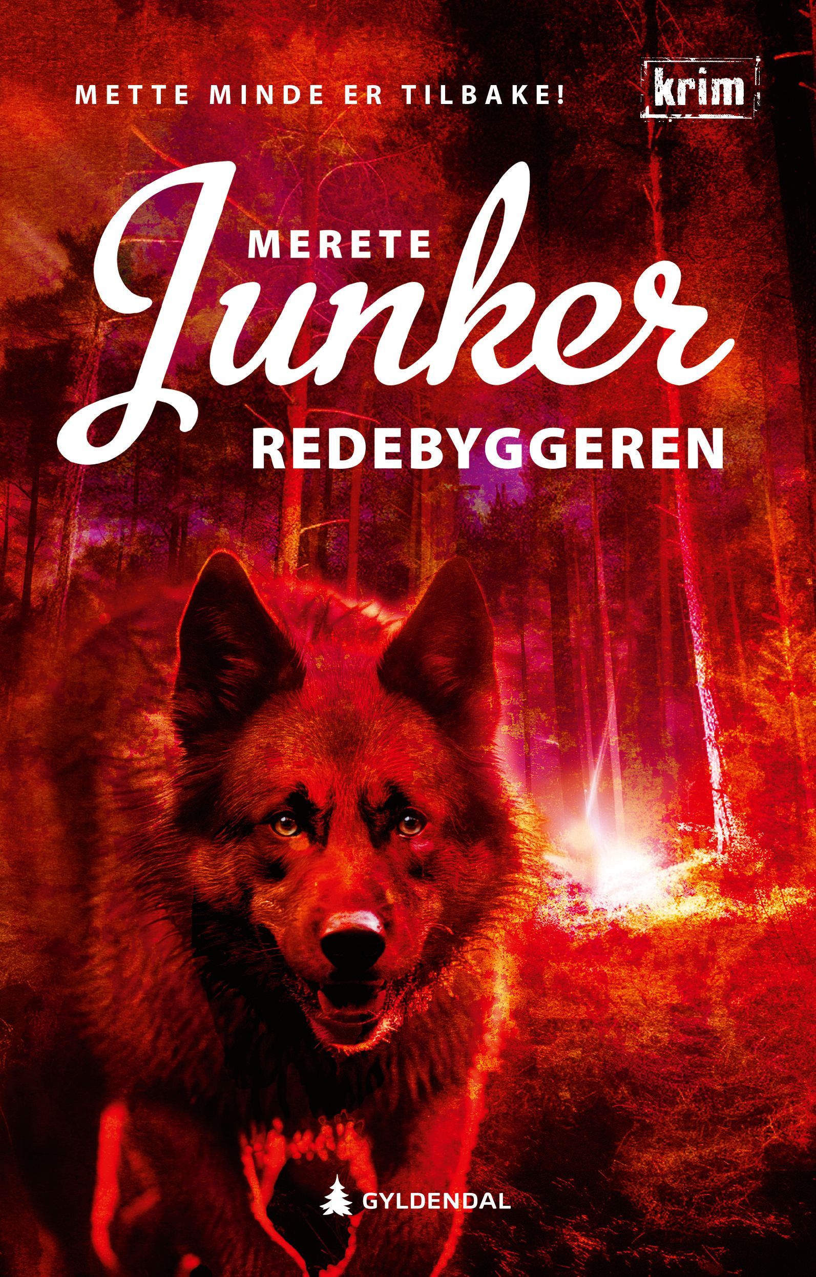 Redebyggeren : kriminalroman