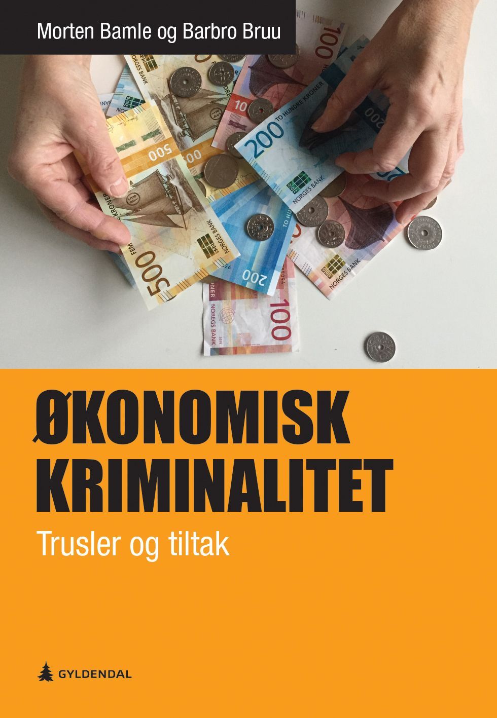 Økonomisk kriminalitet : trusler og tiltak