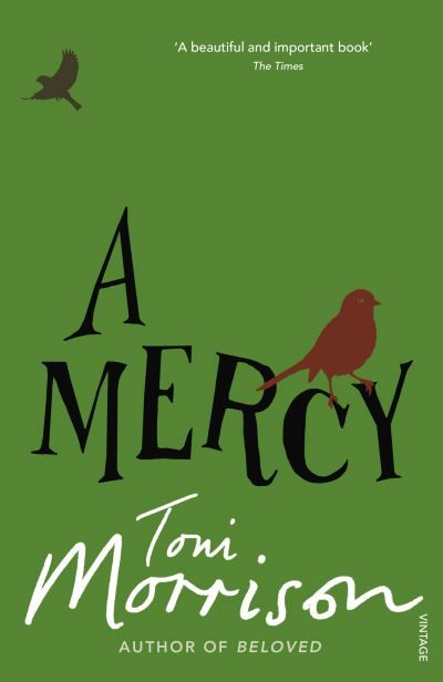 A mercy