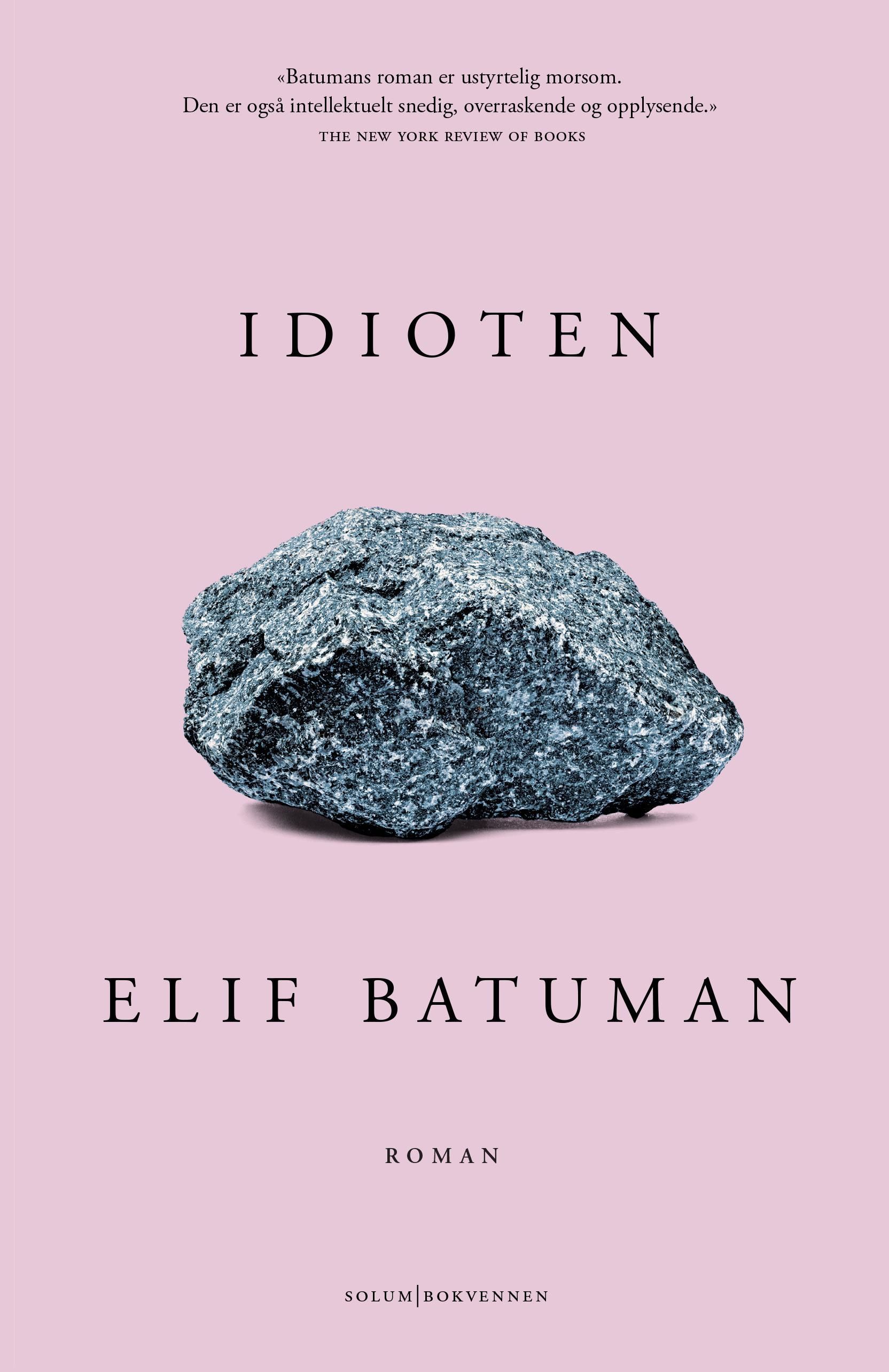 Idioten : roman