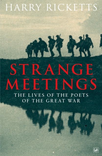 Strange Meetings : The Lives of the Poets of the Great War