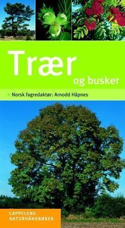 Trær og busker : enkel og sikker artsbestemmelse