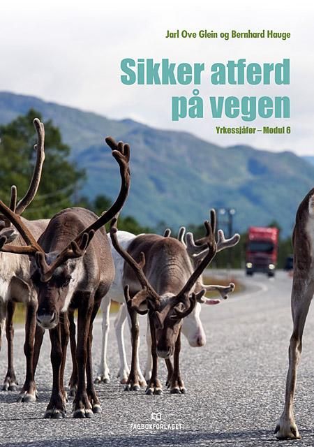 Sikker atferd på vegen : yrkessjåfør - modul 6