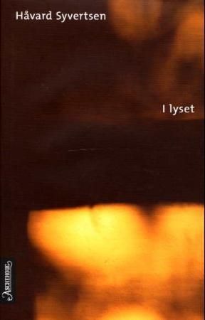 I lyset : roman