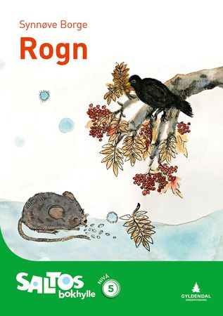 Saltos bokhylle. Nivå 5