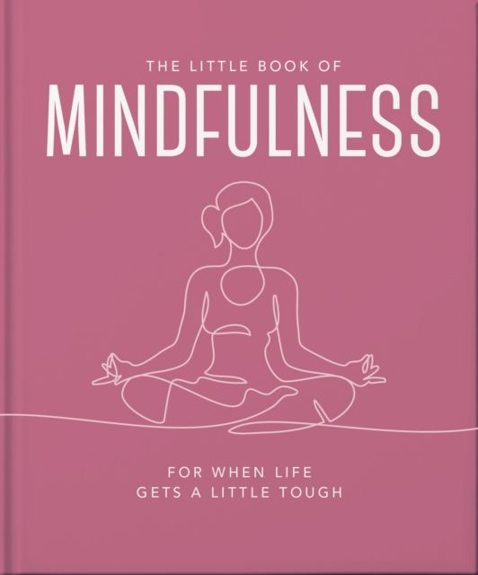 The Little Book of Mindfulness : For When Life Gets a Little Tough
