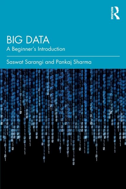 Big Data : A Beginner's Introduction