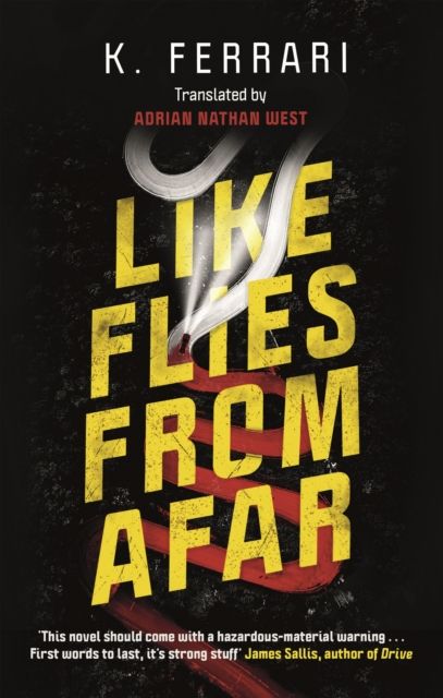 Forsidebilde av Like Flies from Afar