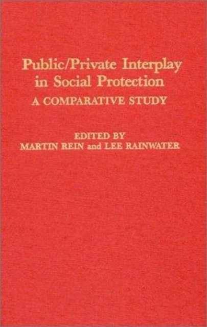 Public/Private Interplay in Social Protection