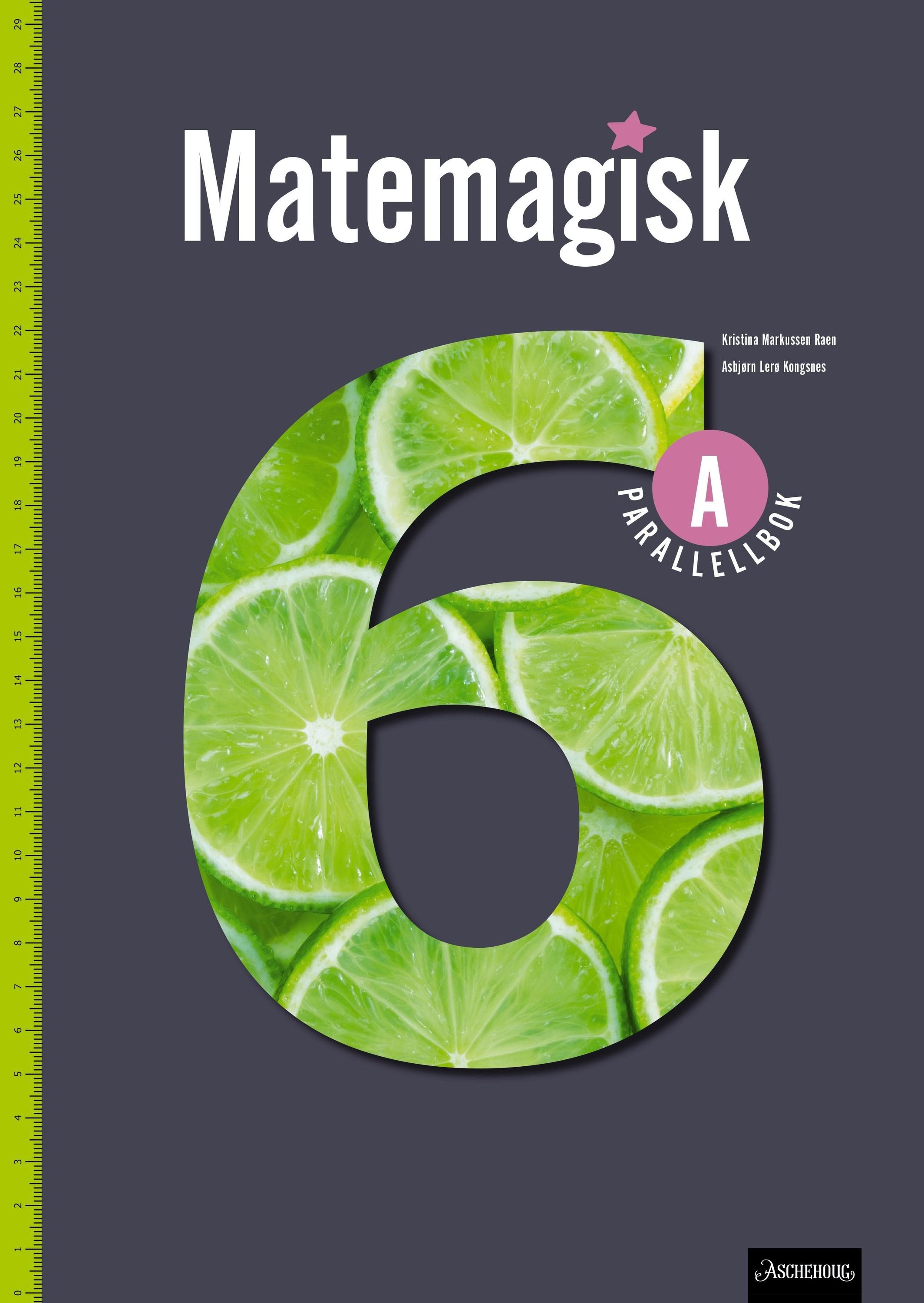 Matemagisk 6A. Parallellbok