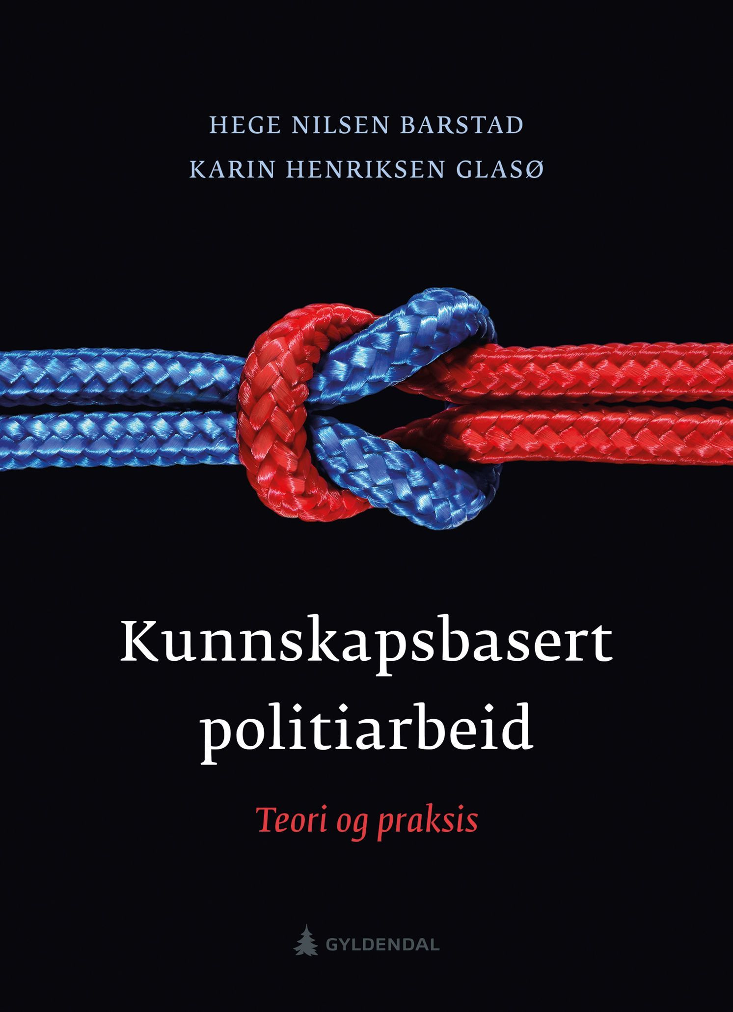 Kunnskapsbasert politiarbeid : teori og praksis