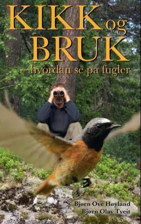 Kikk og bruk : hvordan se på fugler
