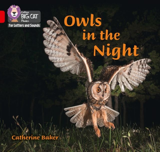 Owls in the Night : Band 02b/Red B