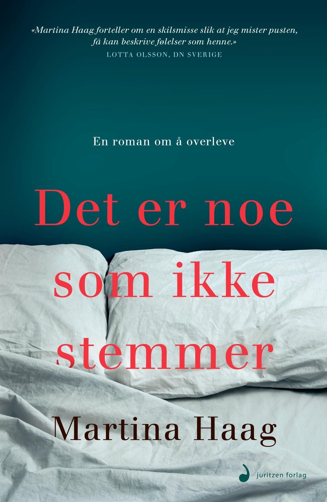 Det er noe som ikke stemmer : roman