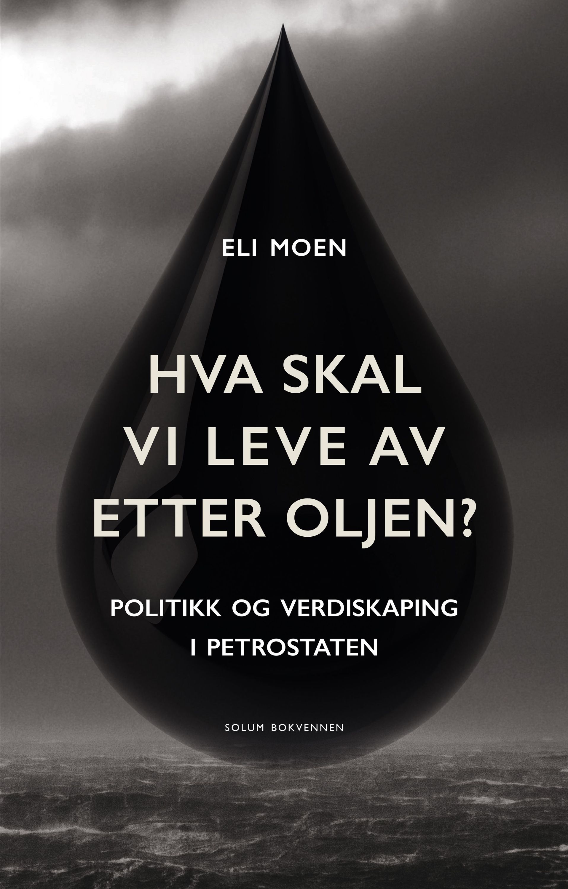 Hva skal vi leve av etter oljen? : politikk og verdiskaping i petrostaten