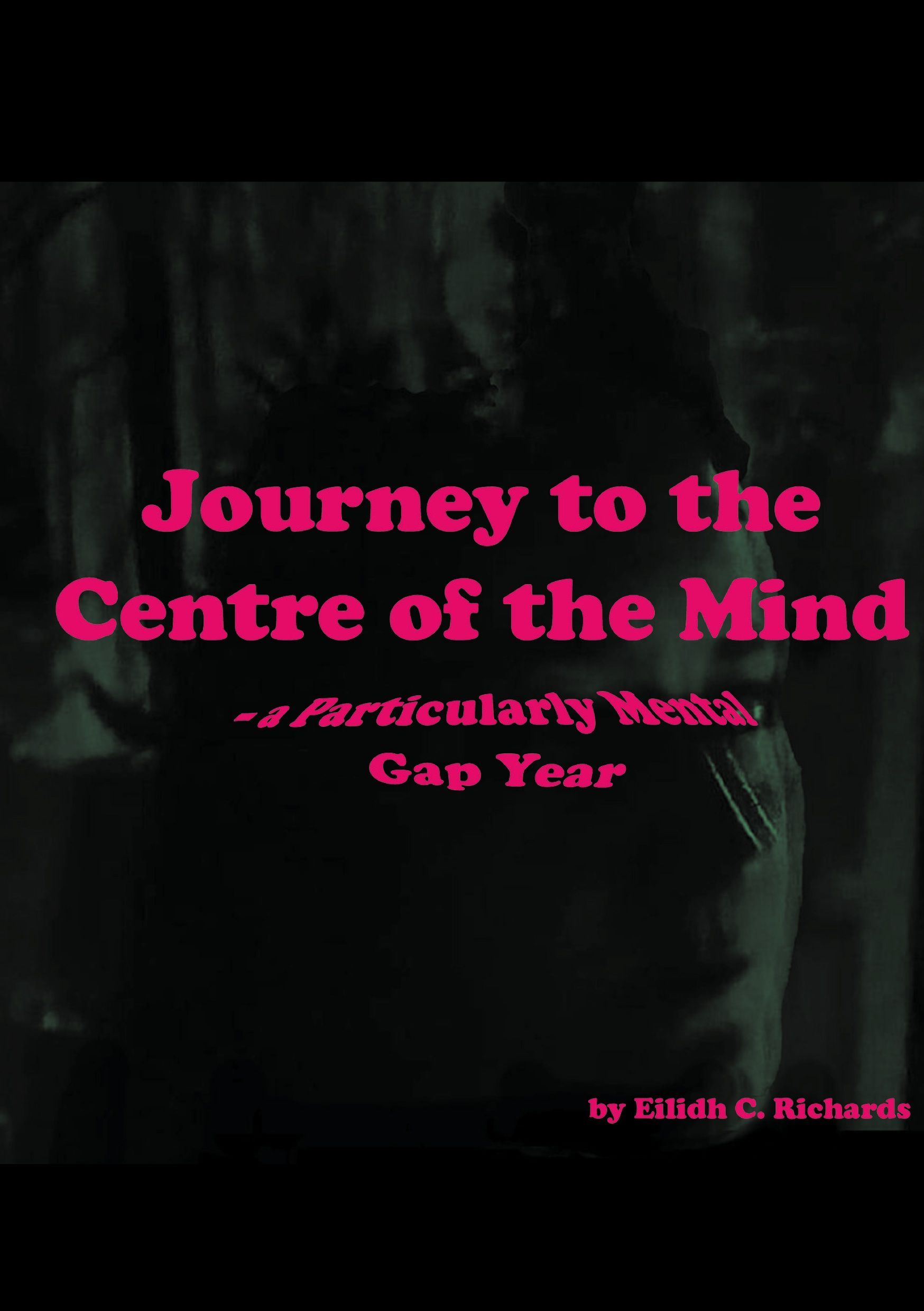 Journey to the centre of the mind : a particularly mental gap year