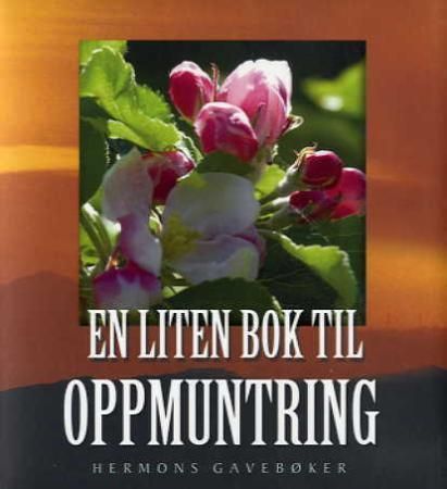 En liten bok til oppmuntring