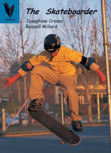The skateboarder