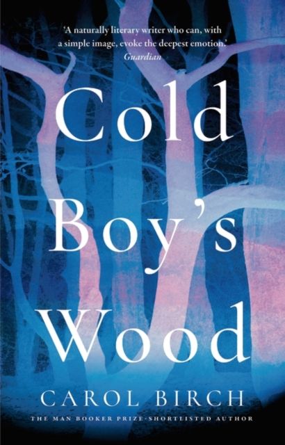 Forsidebilde av Cold Boy's Wood