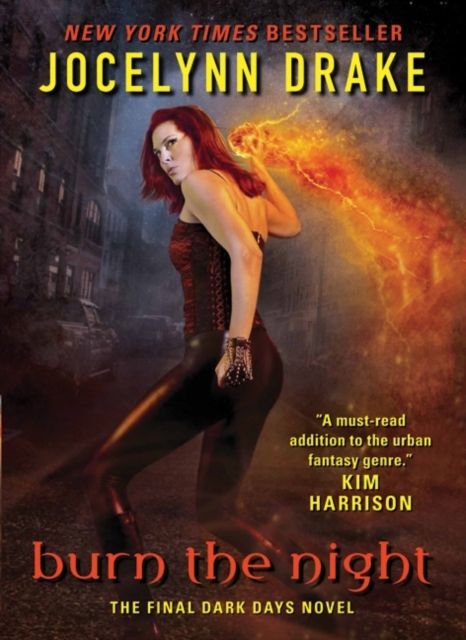 Burn the Night : The Final Dark Days Novel